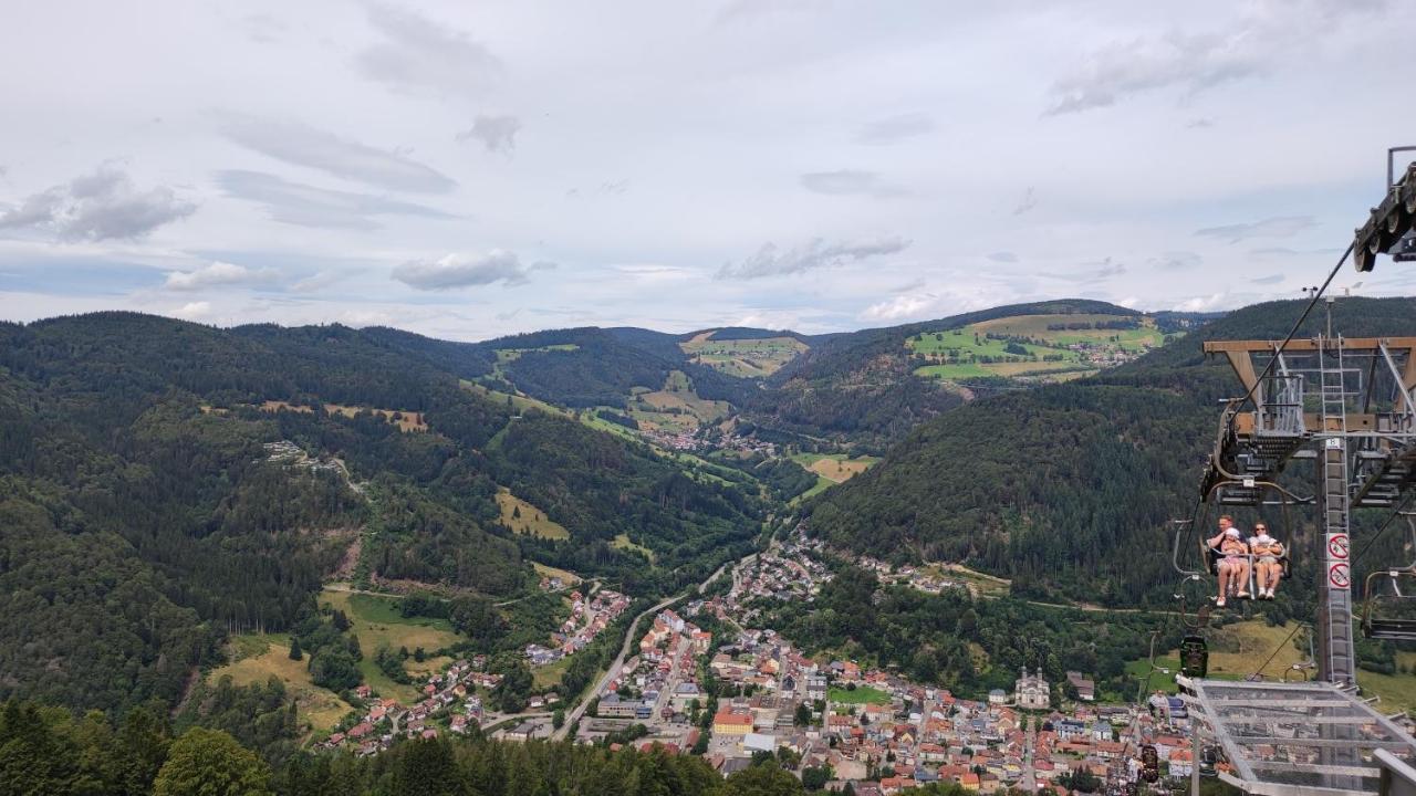 Am Berg Feldberg (Baden-Wurttemberg) Exterior foto