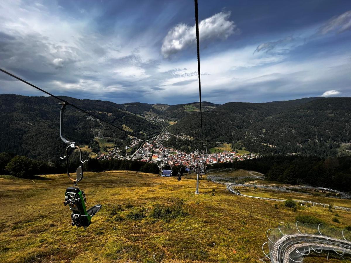 Am Berg Feldberg (Baden-Wurttemberg) Exterior foto