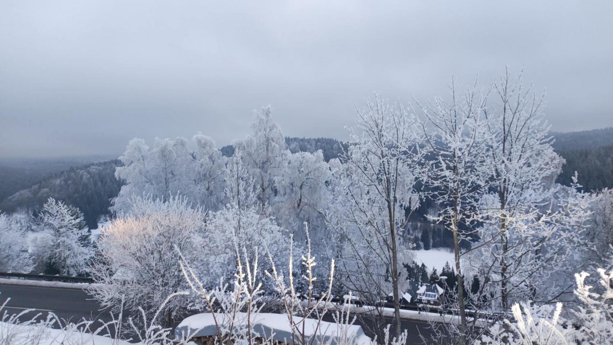 Am Berg Feldberg (Baden-Wurttemberg) Exterior foto