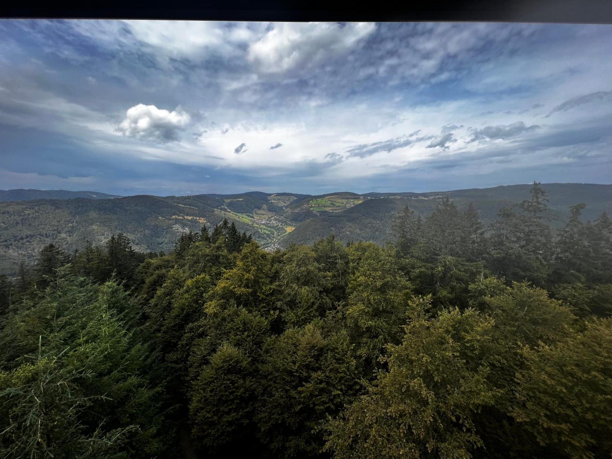 Am Berg Feldberg (Baden-Wurttemberg) Exterior foto